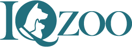 iqzoo-logo