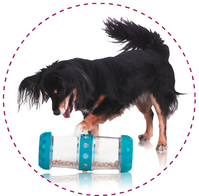 5 reasons to use FeedMe